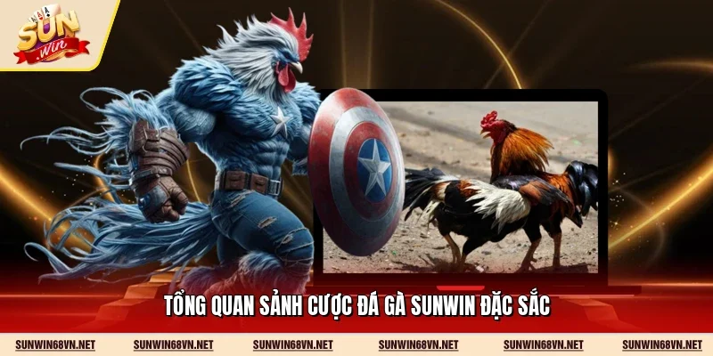 Đá Gà Sunwin - Sảnh Cược Kịch Tính Và Đẳng Cấp Năm 2026 10 Sunwin Tổng quan sảnh cược đá gà Sunwin đặc sắc