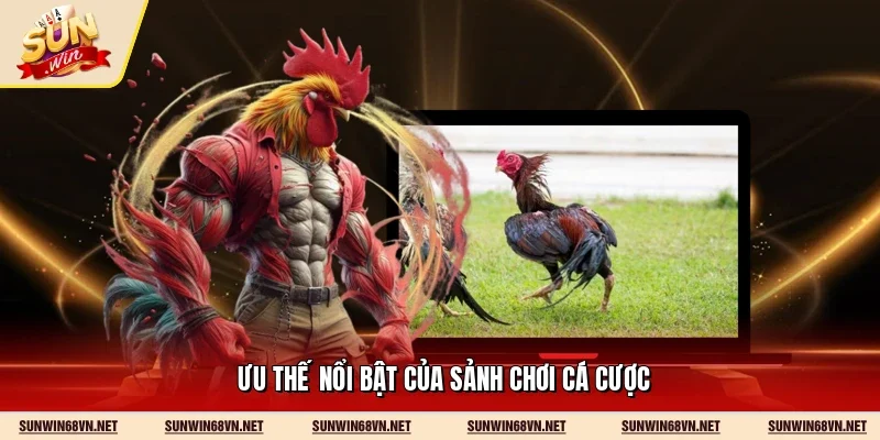 Đá Gà Sunwin - Sảnh Cược Kịch Tính Và Đẳng Cấp Năm 2026 12 Sunwin Ưu thế nổi bật của sảnh chơi cá cược